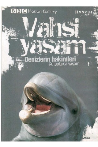Bbc Motion Gallery - Vahşi Yaşam Denizlerin Hakimleri Kutuplarda Yaşam - Dvd