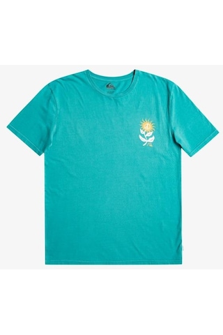 Quiksilver Eqyzt07261-blz0 Sunbloom M Tees Erkek T-shirt 001