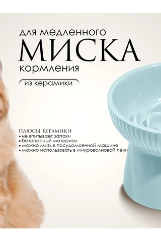 Vektorı Kedi Kabı Seramik 391812075