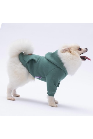 Pettrend Çağla Yeşil Kanguru Cepli Kedi Köpek Hoodie Sweatshirt