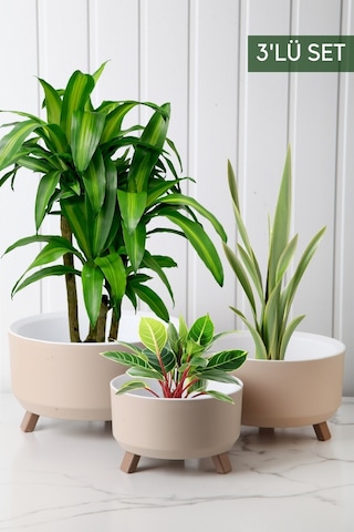 Nandy Home Tripot Model Saksı Seti Krem 3'lü