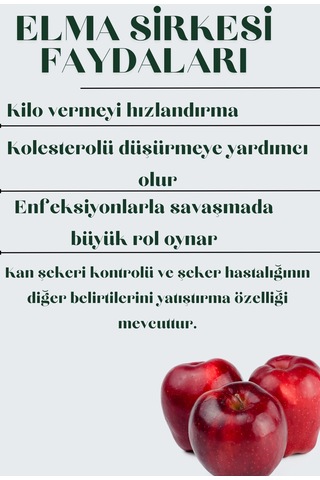 Trade Bazaar Ev Yapımı Katkısız Fermantasyon Elma Sirkesi 500 ML