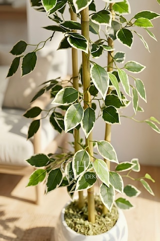 Yapay Alacalı Ficus Ağacı 3 Bambulu 110 Cm 27 33 Beyaz Küre Saksılı