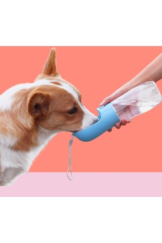 River World Butonlu ve Taşınabilir Evcil Hayvan Suluğu 450 ML