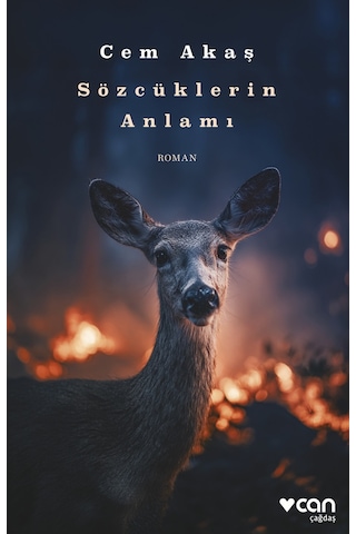 Sözcüklerin Anlamı - Cem Akaş