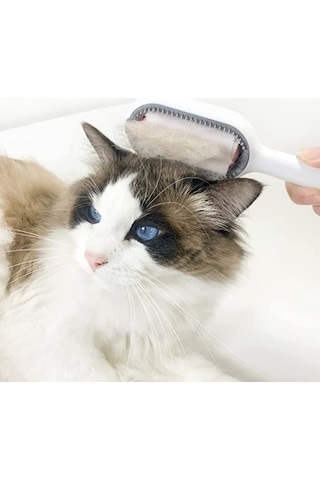 Kedi Köpek Tüy Toplama Tarağı Beyaz Kedi Köpek Tüy Toplama Tarağı Beyaz