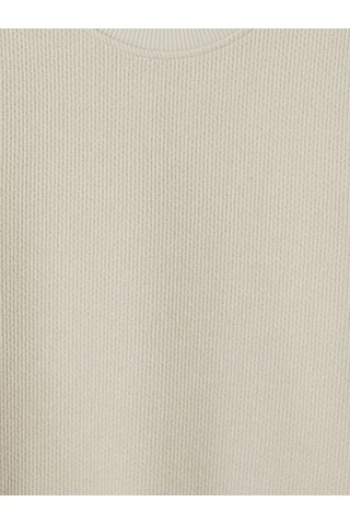 Lcwaıkıkı Classic Bej Bisiklet Yaka Erkek Sweatshirt