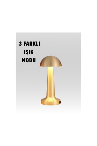 Northcity Usb Şarjlı Dokunmatik Led Masa Lambası 3 Renk Modu & Dimmer Beyaz