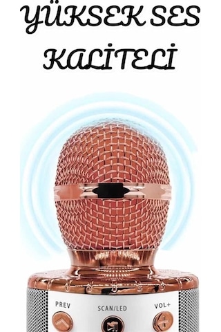 Mey İthalat Şarjlı Ve Uzun Pil Ömürlü Karaoke Mikrofon Usb Bellek Destekli, Profesyonel Ses