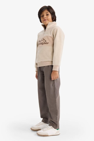 Defacto Erkek Çocuk Yarım Fermuarlı Baskılı Polar Sweatshirt G4944a825aubg117 Bej-bg117