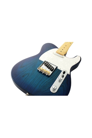 Fujigen Telecaster Elektro Gitar Nte100mahsbb