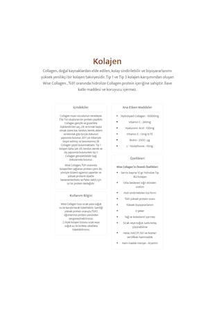 Wiselab Hidrolize Tip 1 - 3 Kolajen 273gr
