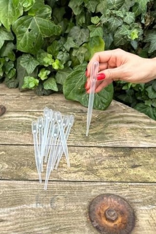 Concept Pastör Pipet Damlalık 3 Ml 50 Adet 000 Açık Krem