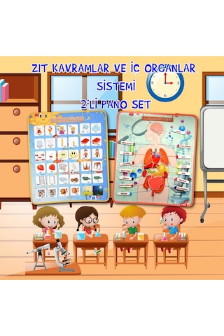 2 Set - 62 Parça Tox Iç Organlar ve Zıt Kavramlar Keçe Cırtlı Duv