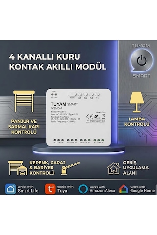 Tuya Destekli 85-250v Kuru Kontak Anahtar Beyaz
