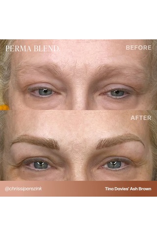 Perma Blend Tina Davies Ash Brown Kalıcı Makyaj Kaş Pigmenti 15ml Diğer