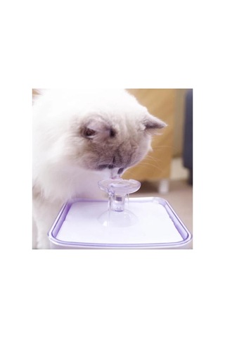 Aclium Kedi Su Sebili 2,4 Lt