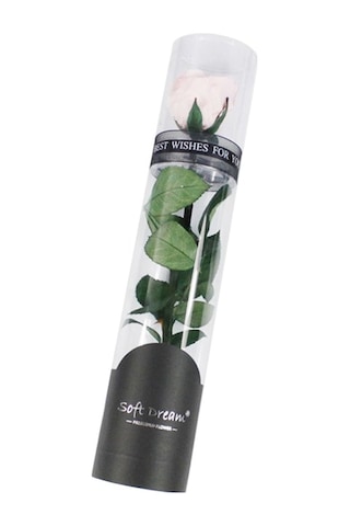 Trendooze Yıl Sonsuz Sonsuz Sevgililer Romantik Pembe Partisi Parfümlü Noel Korunmuş Kadınlar İçin Hediye Günü Günü Gül Gül Gül Gerçek Festivalleri Ev Düğün Dönümü Çiçeği Çiçeği Arifesi Anneler Pe Pembe