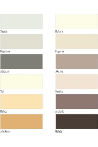 Fbs Exterio Silikonlu Dış Cephe Boyası 20 Kg