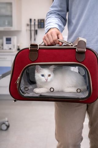 Şeffaf Pencereli Nefes Alabilir Kedi Taşıma Çantası Kırmızı