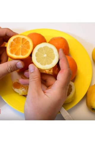 Tüplü Yoğun Kokulu Finike Beyaz Limon Fidanı