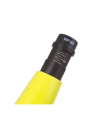 Raınbow 50l Plus Lime/yeşil Limon Mikroskop