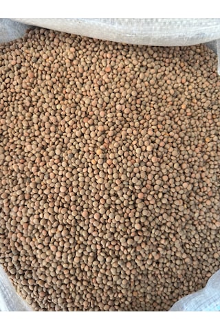Bernami Biblo Pinterest Yeşil Köy Mercimeği 1 Kg