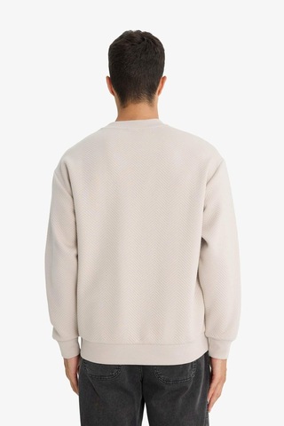 Defacto Relax Fit Bisiklet Yaka Sweatshirt E9536ax25aubg766 Bej