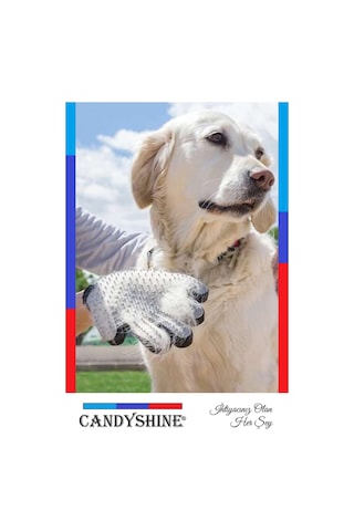 Candyshine Kedi Köpek Tüy Toplayıcı Masaj Yapıcı Tarama Eldiveni Mavi