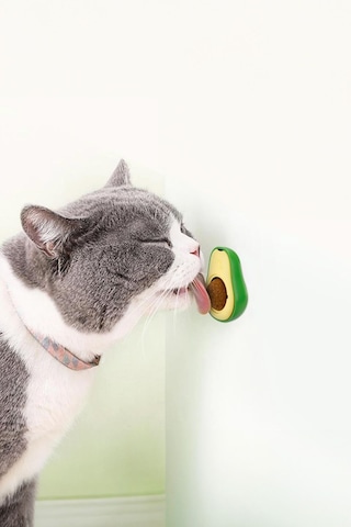 Kedi Yalama Topu Avakado Tasarımlı Nane Aromalı
