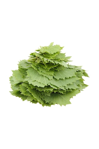 Taze Asma Yaprağı Yeni Sezon Pet 500 G