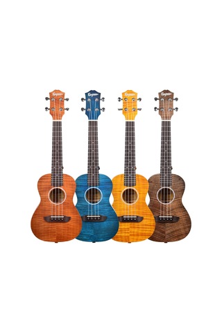 Kaysen U3-24bk Concert Ukulele