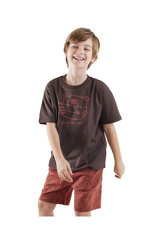 Denokids Play Erkek Çocuk Basic T-shirt Şort Takım Renkli Çok Renkli