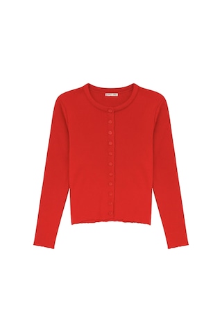 Hiccup Mixray Düğmeli Slim Fit Yivli Örgü Hırka Kırmızı