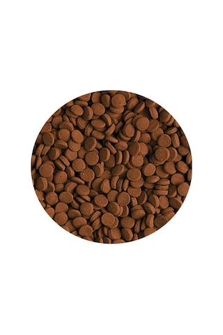 Tropical Carnivore 250gr Kovadan Bölme