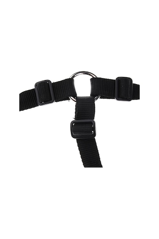 Suntek At Pony Naylon Çene Altı Yular Ile Otlatma Ağızlığı Siyah