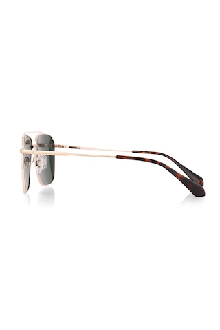 Daniel Klein Dk3284-3 Dikdörtgen Slim Line Polarize Camlı Erkek Güneş Gözlüğü 53-20-145 Gold