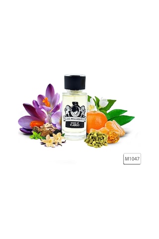 Lion Francesco Scent Of Cairo Erkek Parfüm EDP 50 ML