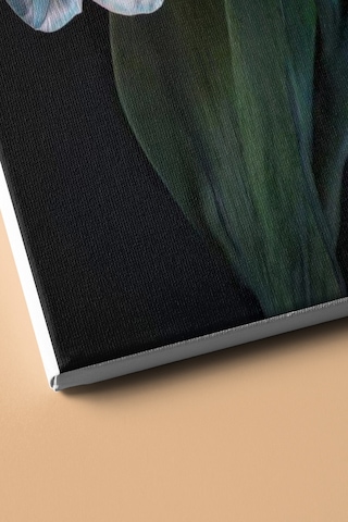 Webstyle Sayılarla Boyama Seti Kasnaklı Nilüfer 50 X 65 Cm