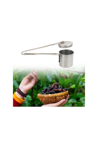 Homyl Küçük Meyveler Tarihleri İçin Paslanmaz Çelik