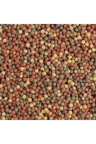1000 Gram Tropical Pond Pellet Mix Pond Balık Yemi-kovadan Bölme