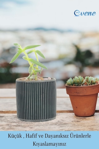 Mini Çiçek Saksı Küçük Sukulent Siyah Kaktüs Saksısı 3'lü Set Düz İnce Çizgili Model