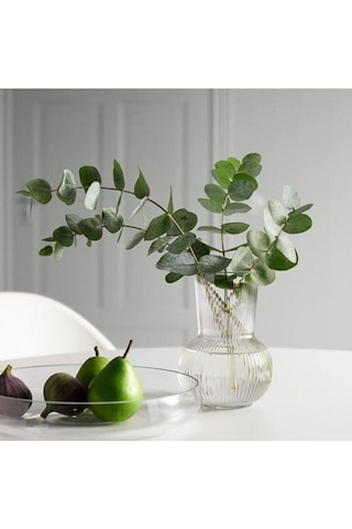 Padrag Dekoratif Vazo 17cm Cam Diğer