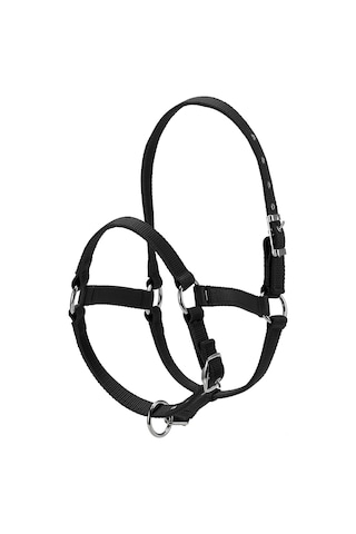 Mufunye 6mm Kalınlaştırılmış Ayarlanabilir At Başlığı: Dayanıklı Ve Kontrol Kolaylığı Sunar Kırmızı / Mavi / Siyah, S / M / L