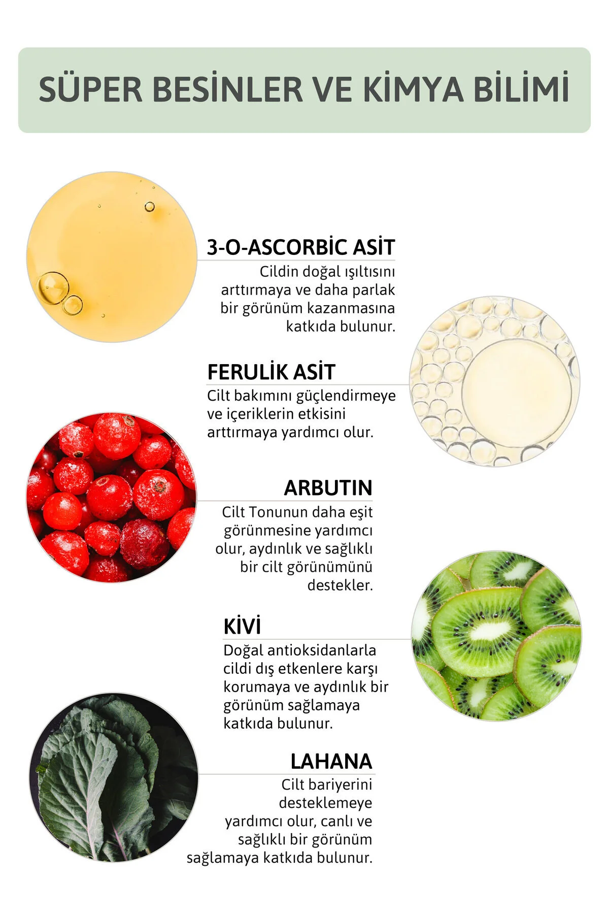Aydınlatıcı Renk Tonu Eşitleyici Leke Karşıtı C Vitamini Arbutin Serum Ascorbic Acid 10 + 0.5 Fer.
