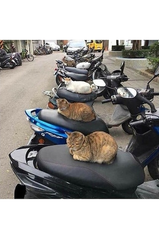 Pcx Nmax Sym Vb Model Scooter Universal Motosiklet Sele Kılıfı