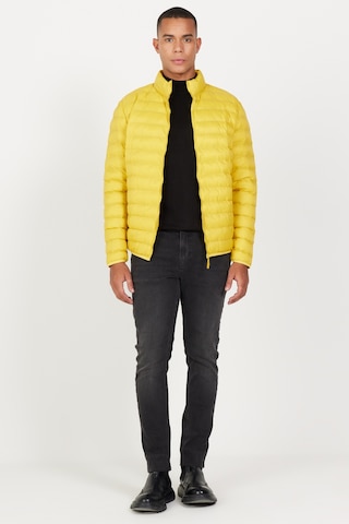 AC&Co / Altınyıldız Classics Erkek Sarı Standart Fit Normal Kesim Dik Yaka Mont Sarı