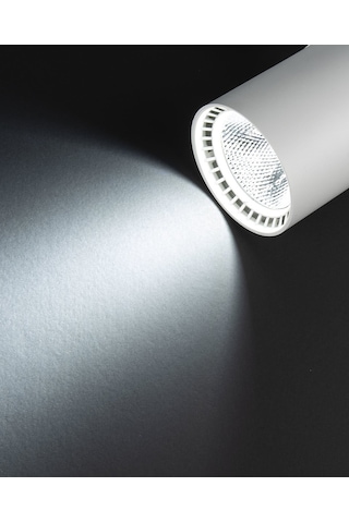 Noas 30W Paris Beyaz Kasa Ray Spot Beyaz Işık YL29-3001