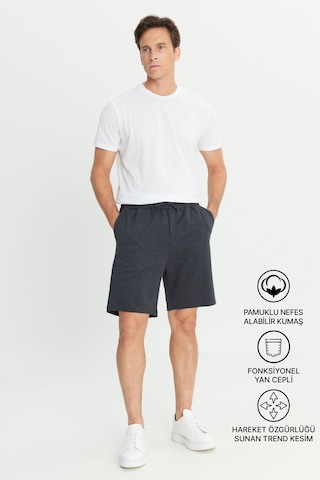 Ac&Co / Altınyıldız Classics Erkek Antrasıt Standart Fit Normal Kesim 2 Iplik Cepli Recycle Pamuklu Örme Şort Antrasit