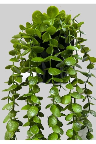 Saksıda Yapay Çiçek Elmas Yoğun Yapraklı Koyu Yeşil Okaliptus Sarkıtı 70 CM